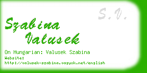 szabina valusek business card